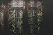 前端 API 请求封装最佳实践